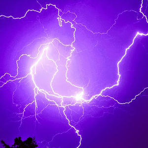 Meet your Posher, Berkeley